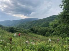 -阳台山自然风景区