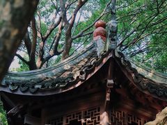 -绮园景区