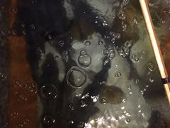 -自己人(九码头店)