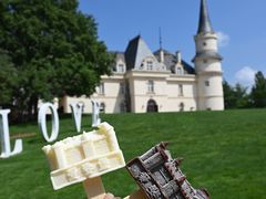 -北京张裕爱斐堡酒庄