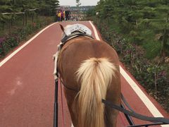 -迪茵湖田家舍生态农场