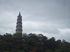 -顺峰山公园