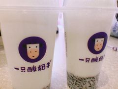 -一只酸奶牛(八一路店)