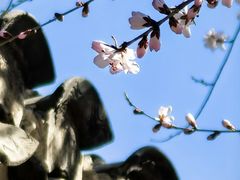 -春风习习
