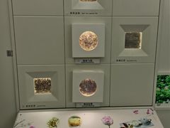-中国茶叶博物馆(双峰馆区)