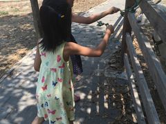 -北京鹿世界主题园