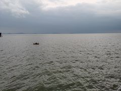 -贡湖湾湿地公园