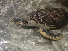-杭州海底世界