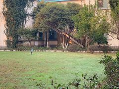 -上海市保健医疗中心