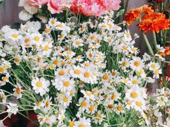 -北边的花店(泛悦城市广场店)