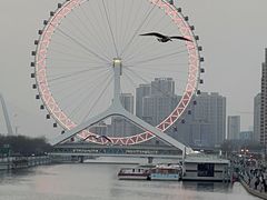 -天津之眼摩天轮