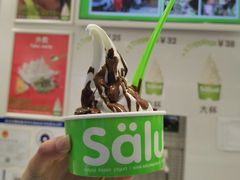 -Salud撒露欧洲冻酸奶(五道口购物中心店)