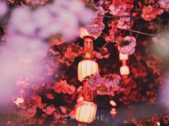 -大雁塔北广场音乐喷泉