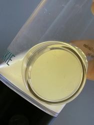 -明潪Selfology升维护理中心