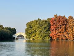 -上海海湾国家森林公园