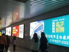 -合肥火车站(地铁站)