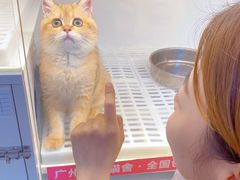 -lincat·猫舍(广州店)