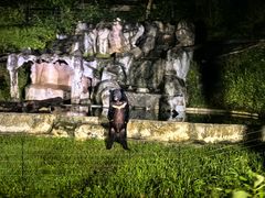 -清迈夜间动物园