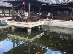 -江心屿景区