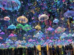 -上海梵高星空艺术馆(南京路旗舰店)