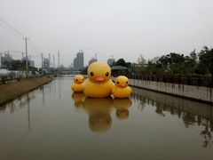 -菊园百果园