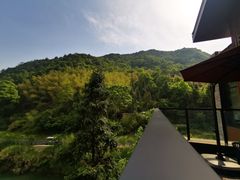-宁海安岚·南溪阁全日餐厅