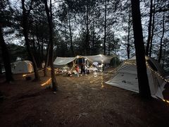 -重庆睡佛山森林公园