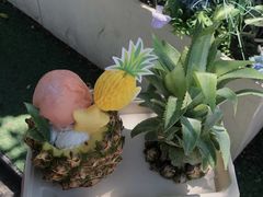 -苏小糖(鼓浪屿三丘田花园店)