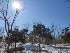 -东郊湿地公园