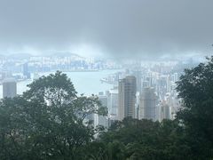 -太平山顶