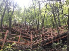 -大岭沟猕猴桃谷风景区