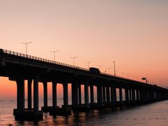 -宝安西湾红树林湿地公园