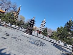 -哈尔滨极乐寺
