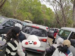 -广东惠东海龟国家级自然保护区