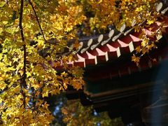 -香山公园