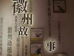 -中国徽菜·徽商故里(罍街店)