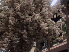 -Simple Yummy简单美味(上邦百汇城店)