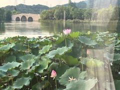 -茗醉园茶楼