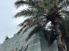 -青澳湾北回归线广场