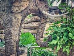 -海口观澜湖火山温泉谷
