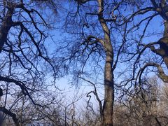 -终南山南五台景区