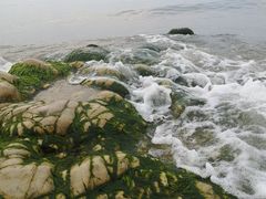 -长岛南北长山旅游景区
