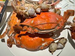 -加餐海鲜自助(宝龙一城店)