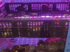 -喜粤广东菜(汉屯路店)