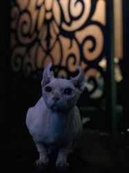 -奇文堂专业纹身馆