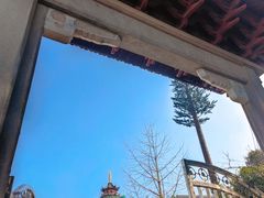 -北极阁公园