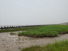 -南汇嘴观海公园