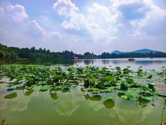 -云龙山