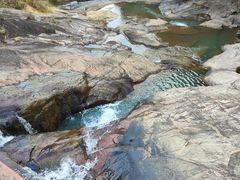 -广州白江湖森林公园