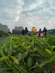 -可可天空农场(东部新城银泰店)
